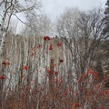 Lake Blanche Trail