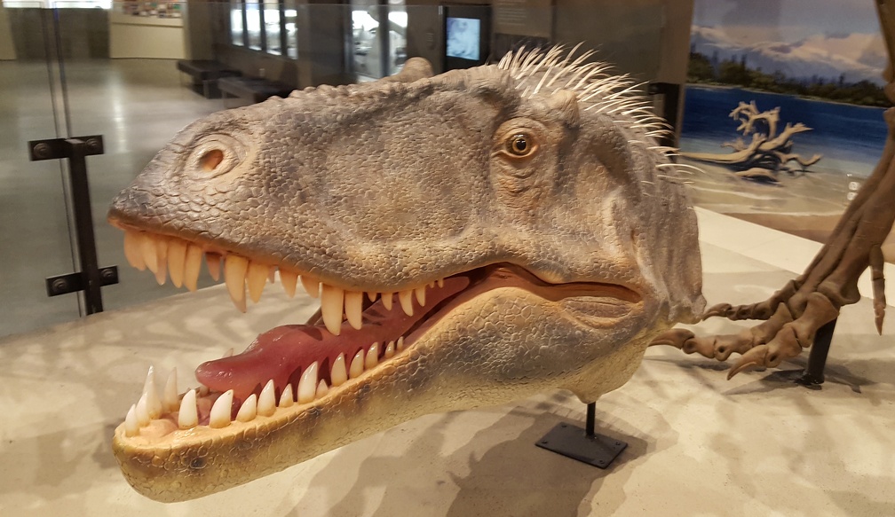 Are dinosaur busts a thing in Utah?