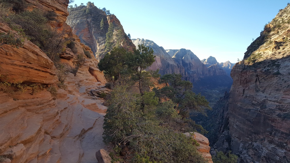 Angel's Landing trail