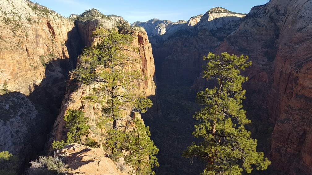 Angel's Landing trail