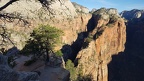 Angel's Landing trail