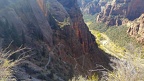 Observation Point trail