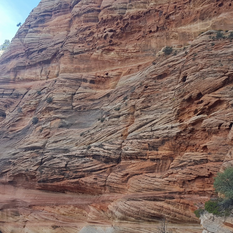 Observation Point trail