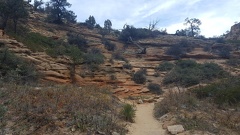 Observation Point trail