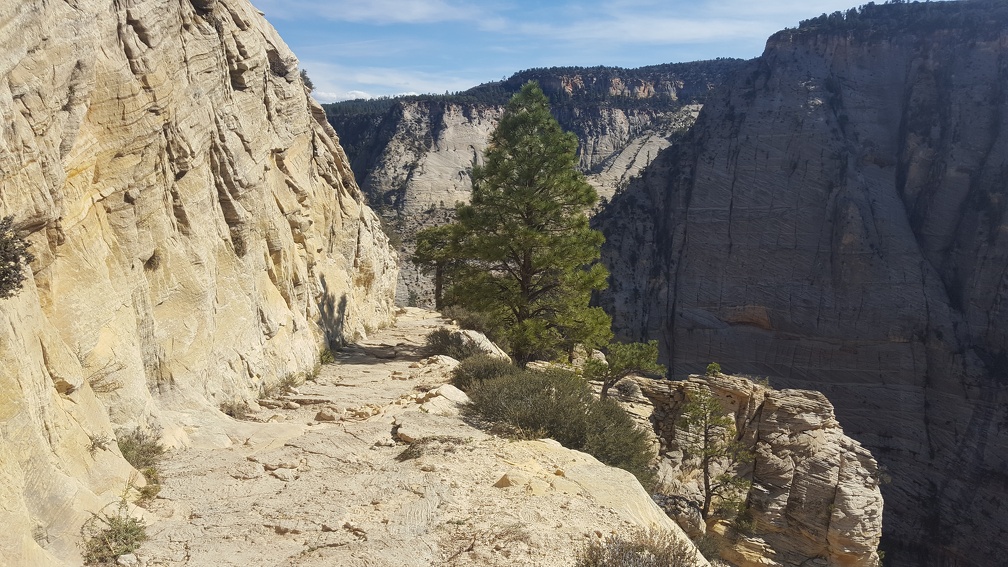 Cliff hiking.