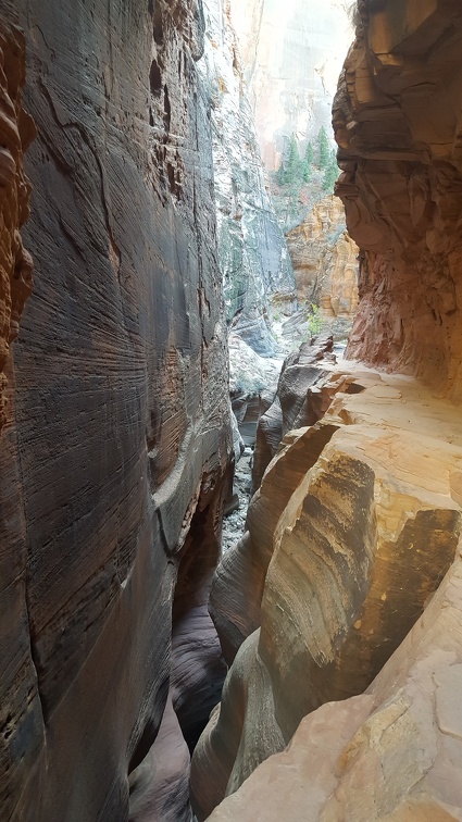 Slot Canyon on the Observation Point trail