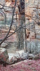 Exploring Zion