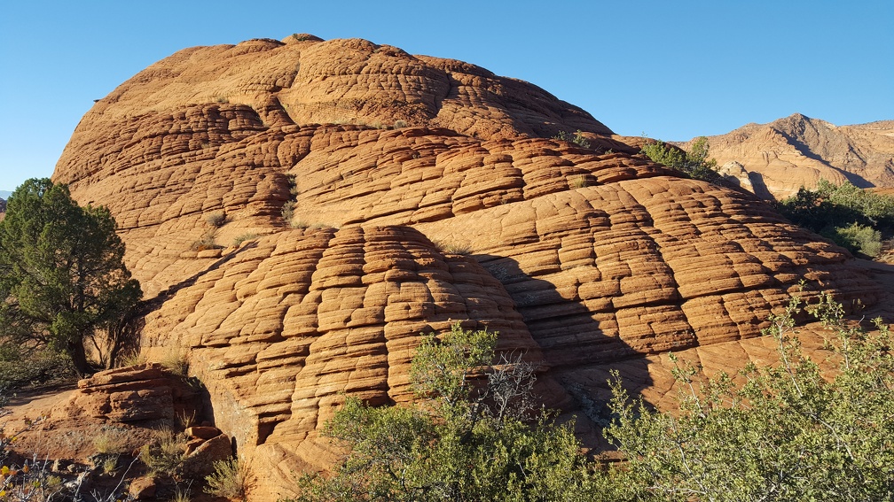 Petrified Sand Dunes.