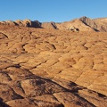 Petrified Sand Dunes