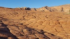 Petrified Sand Dunes