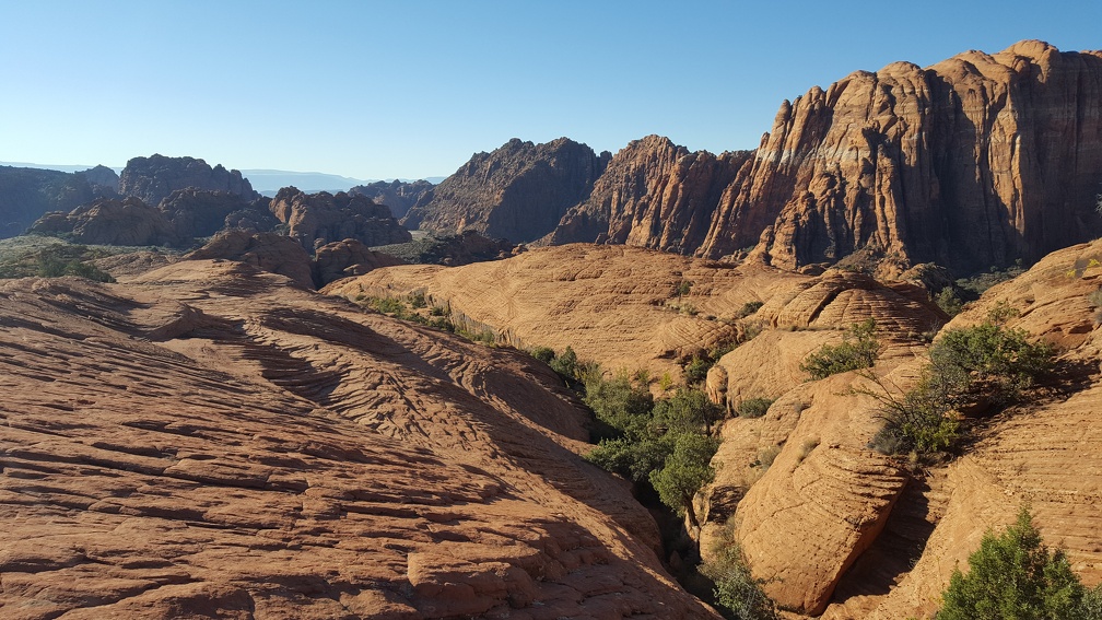 Petrified Sand Dunes