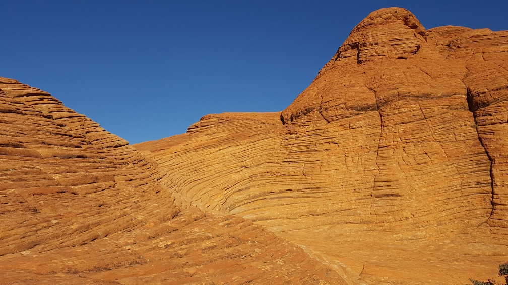 Petrified Sand Dunes