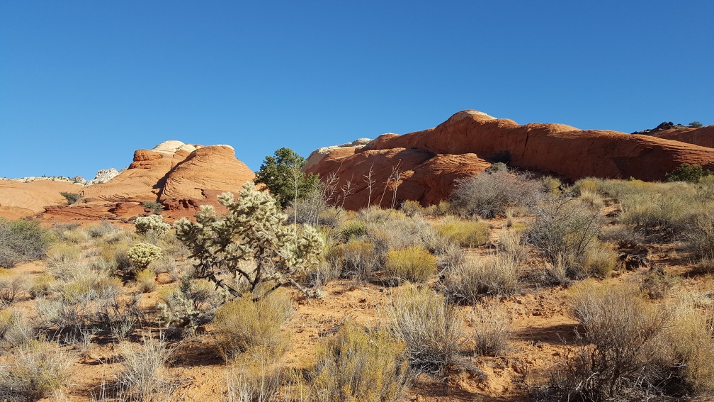 Snow Canyon