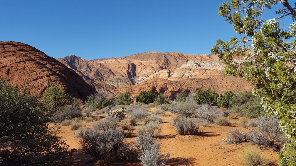 Snow Canyon