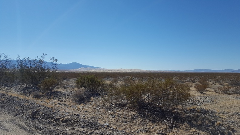 Mojave Desert