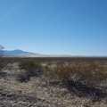 Mojave Desert