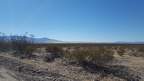 Mojave Desert