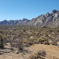 Mojave Desert