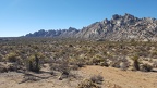 Mojave Desert