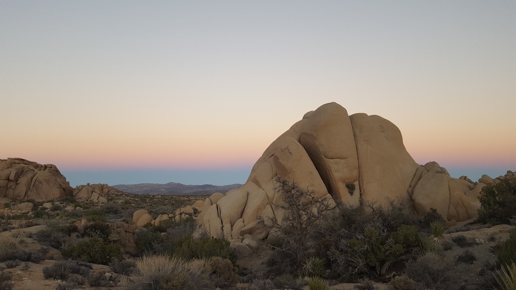 Sunset in Joshua Tree