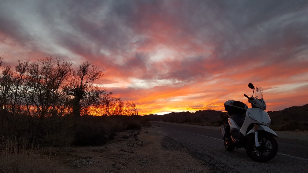 Sunset in Joshua Tree