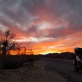 Sunset in Joshua Tree