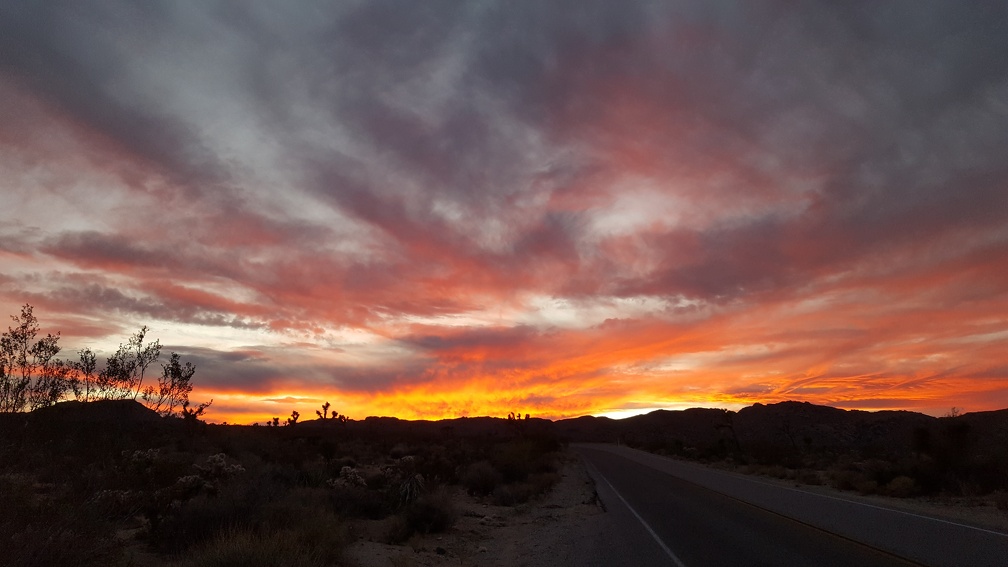 Sunset in Joshua Tree