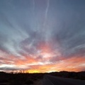 Sunset in Joshua Tree