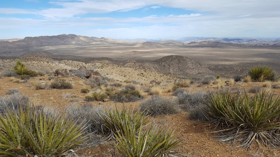 Ryan Mountain Trail