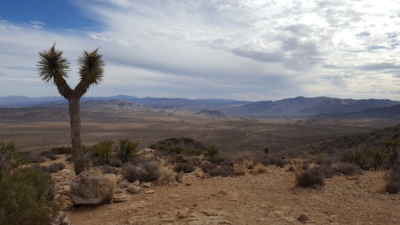 Ryan Mountain Trail