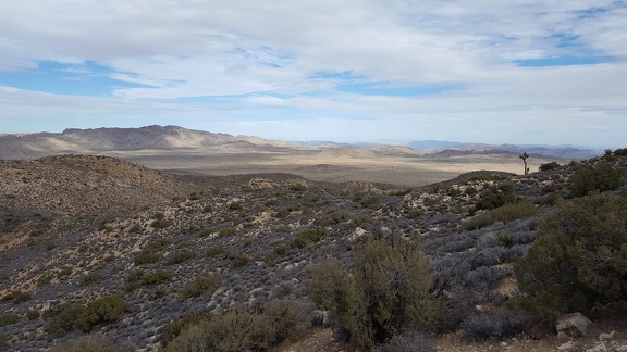 Ryan Mountain Trail