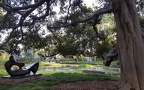 Sculpture Garden at the Norton Simon