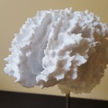 "Trophy" (detail) by Matthew Day Jackson
