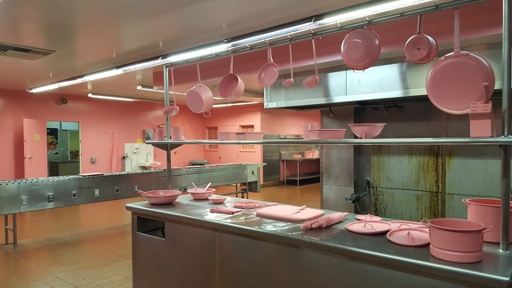 Kitchen in Baker-Miller Pink by Chris Reynolds