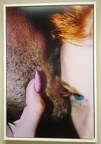 "Pink Nail" by Marilyn Minter
