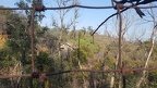 Abandoned Zoo at Griffith Park