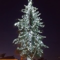 Holidays in Atwater Village