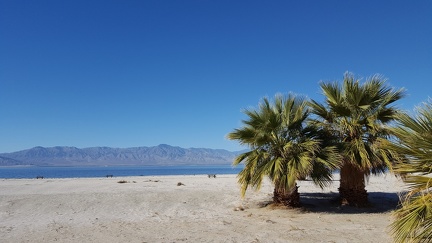 The Salton Sea