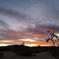 Sunset in Yucca Valley