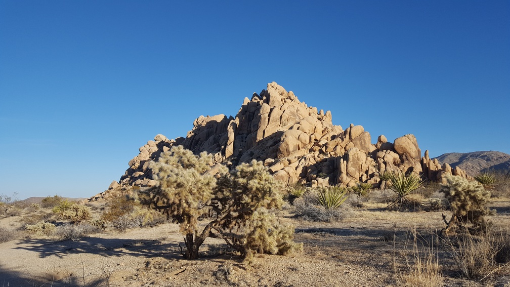 Indian Cove Nature Trail