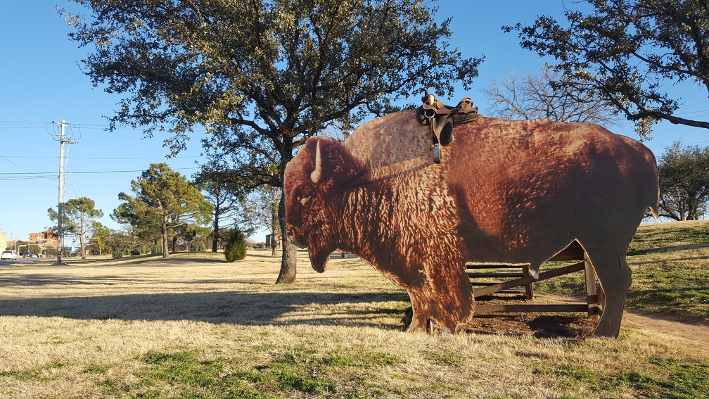 Ride the 2D Buffalo!