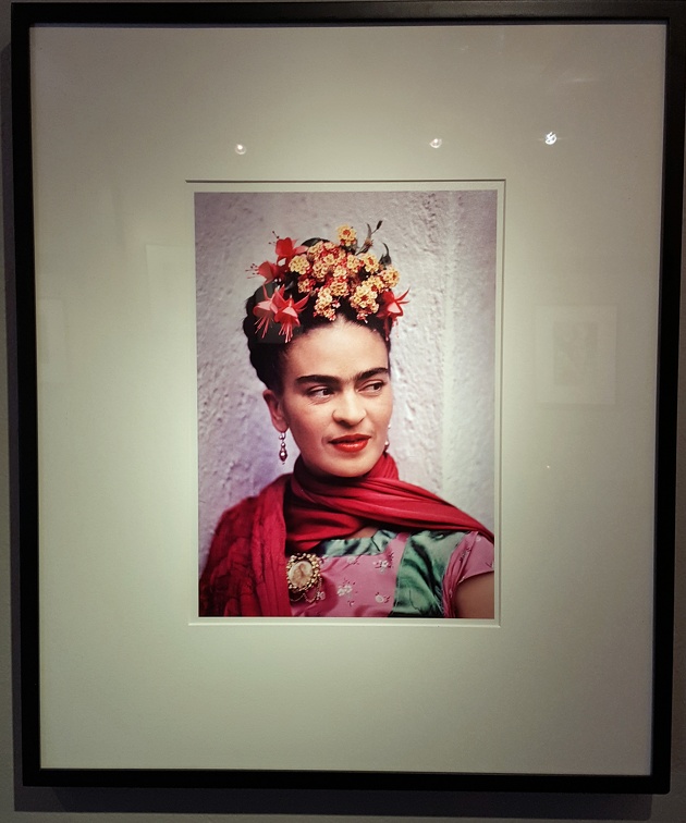 "Frida, Pink/Green Blouse"