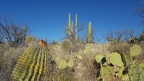 Douglas Spring Trail