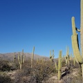 Douglas Spring Trail