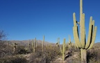 Douglas Spring Trail