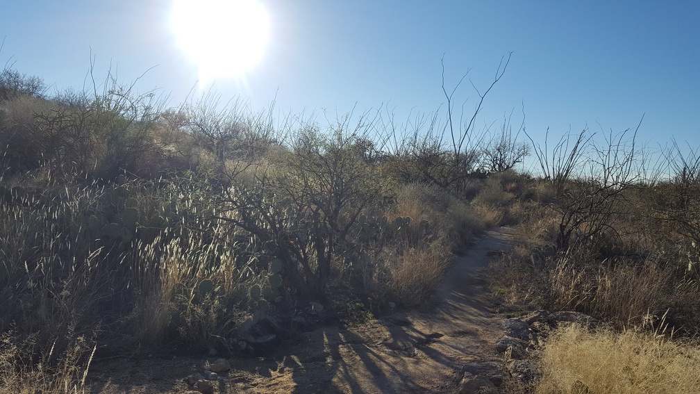 Douglas Spring Trail