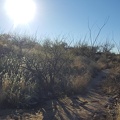 Douglas Spring Trail