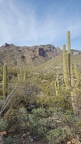 Finger Rock Trail