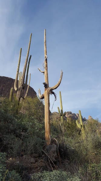 Finger Rock Trail