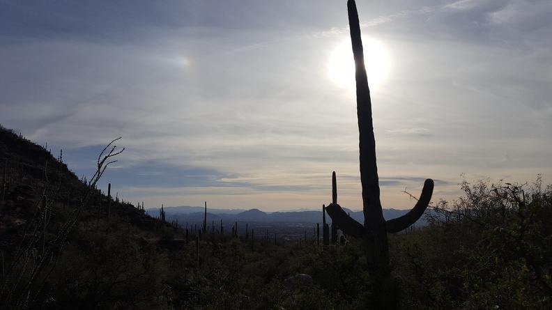 Finger Rock Trail